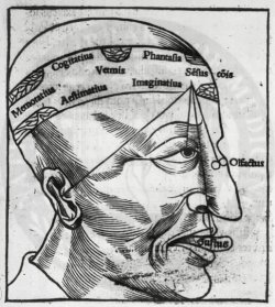 G. Le Livre (1520): Memory, imagination, cognition and the senses